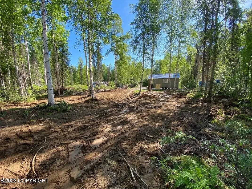 47150 S Bitin Drive, Willow, Alaska image 7