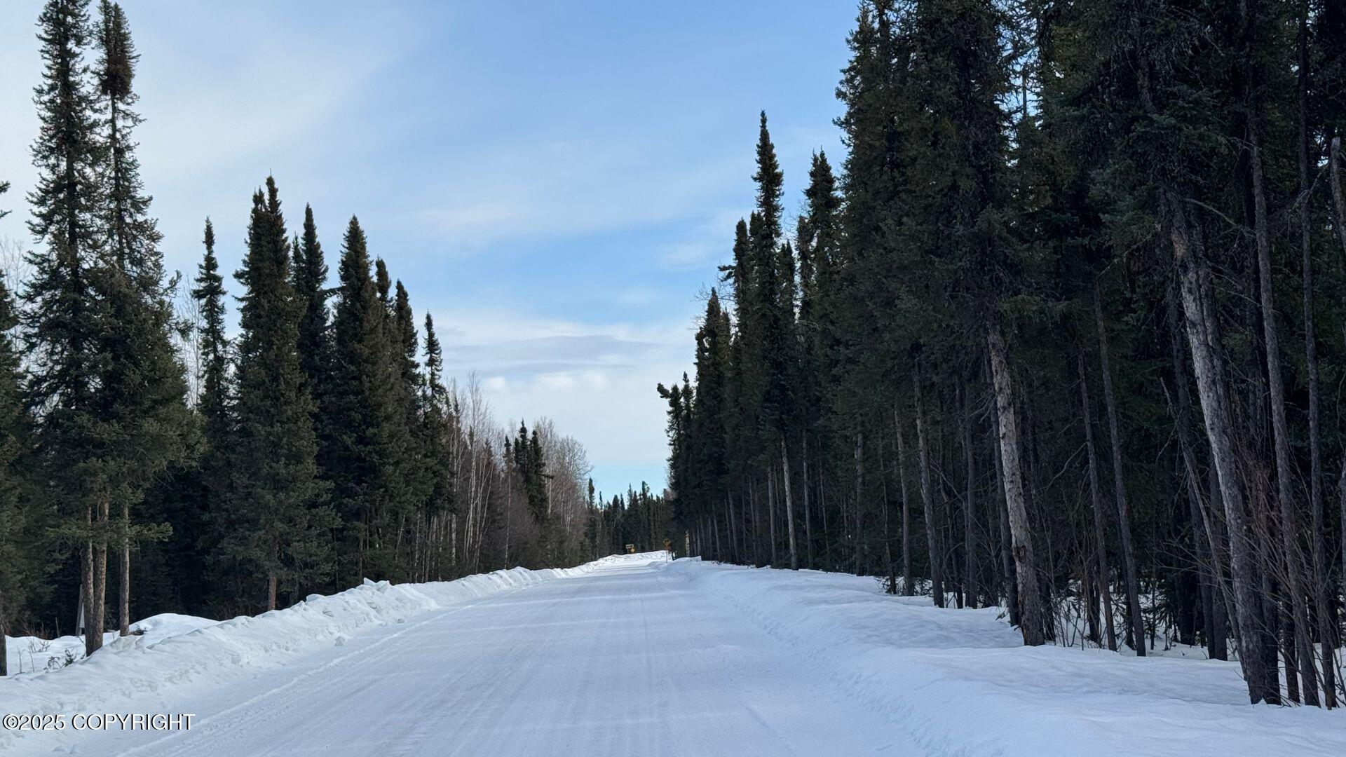 7423 Harding Drive, Salcha, Alaska image 3