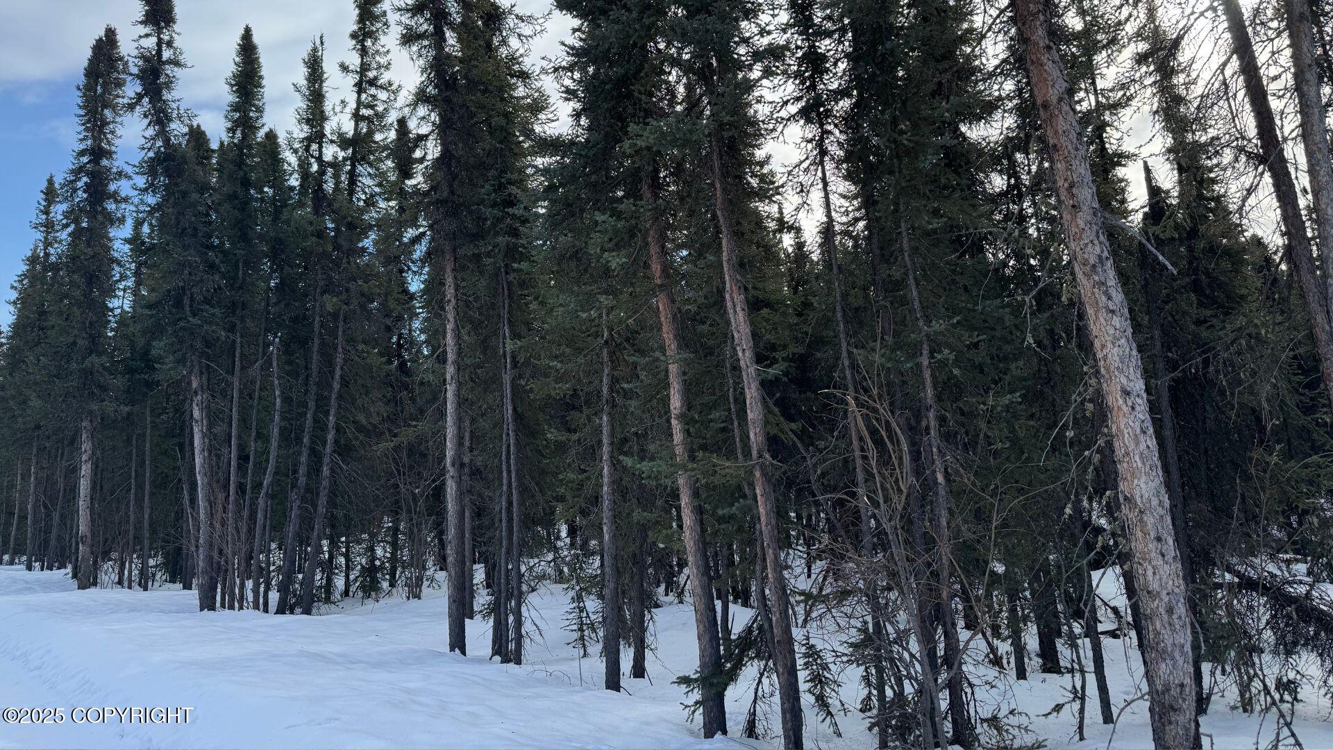 7423 Harding Drive, Salcha, Alaska image 6
