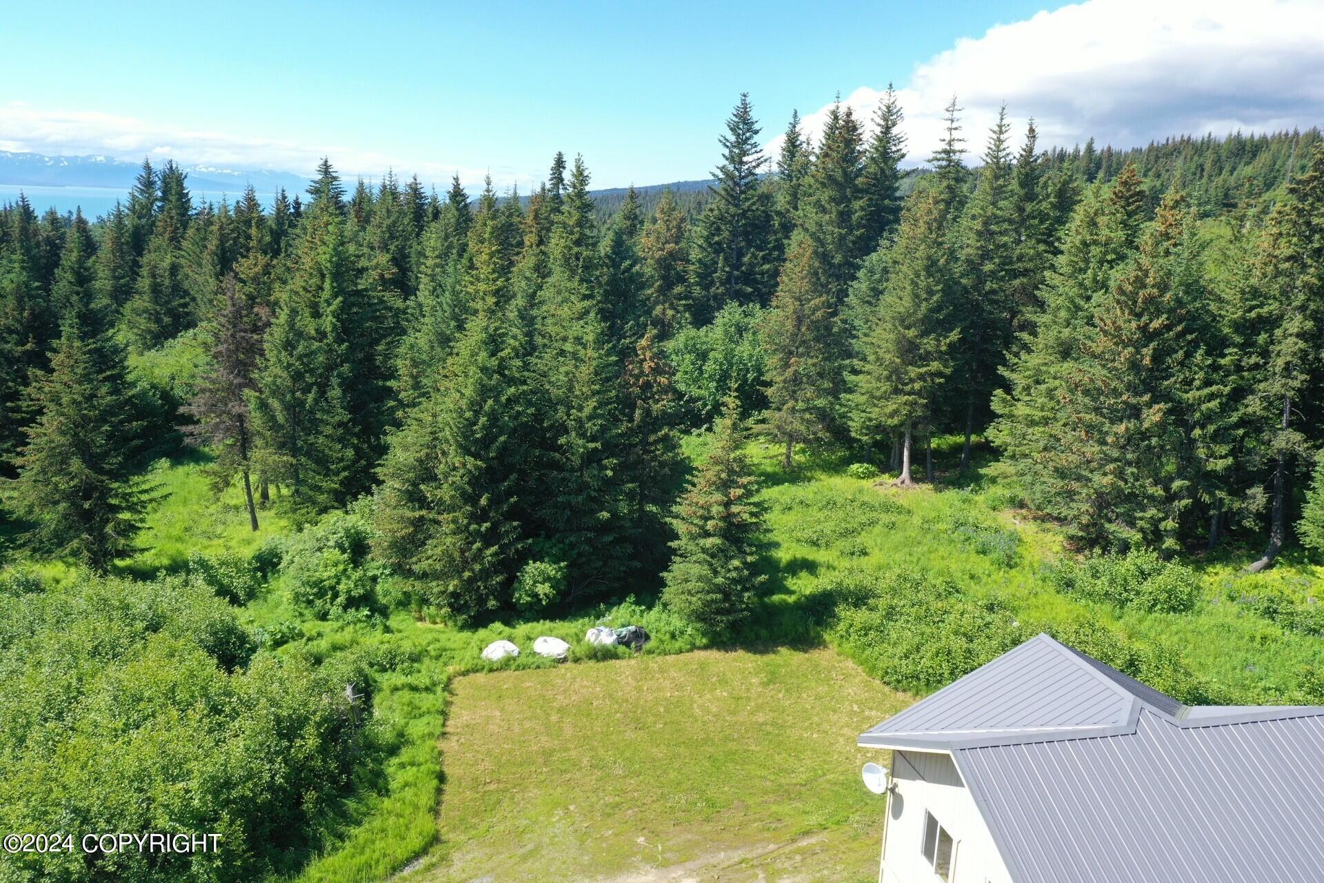 32817 Puzzlz Circle, Homer, Alaska image 2