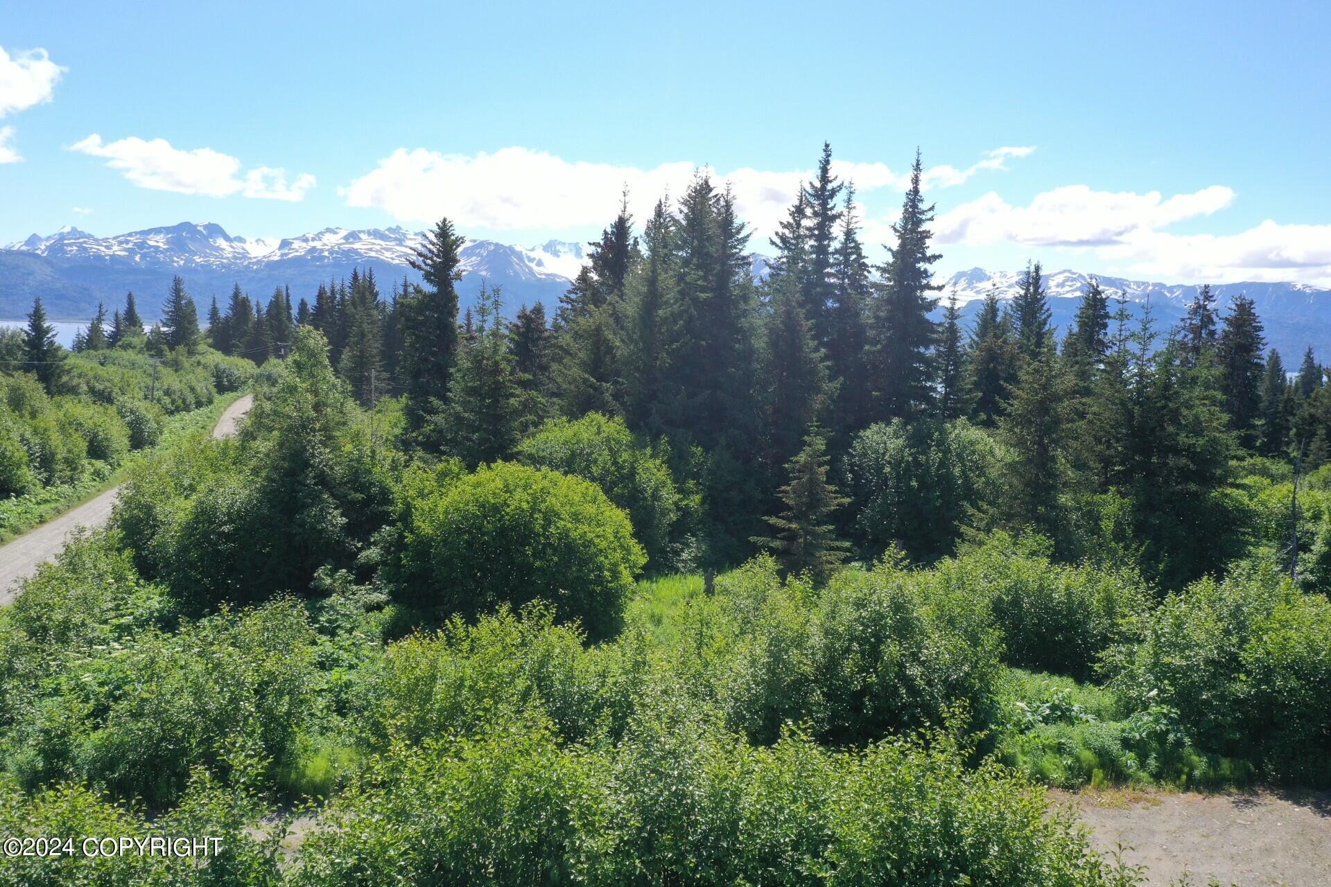 32817 Puzzlz Circle, Homer, Alaska image 23