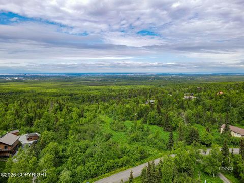 Photo of NHN Montagne Circle, Anchorage, AK 99507 (MLS # 26-5921)