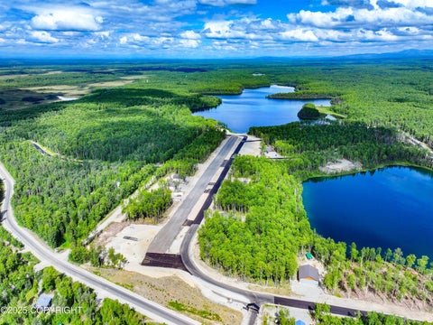 Vacant Land For Sale - 19052 E Kodiak Road<br/> Willow, AK 99694