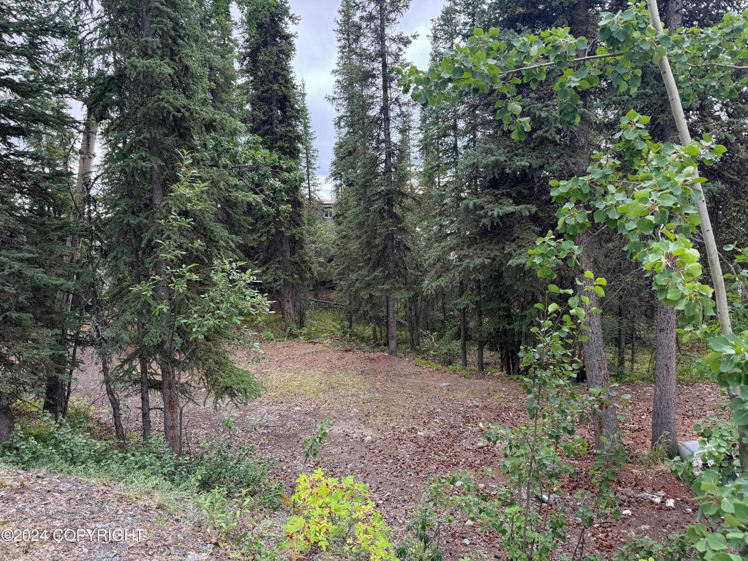 L2 Mile 170.1 Glenn Highway, Glennallen, Idaho image 21