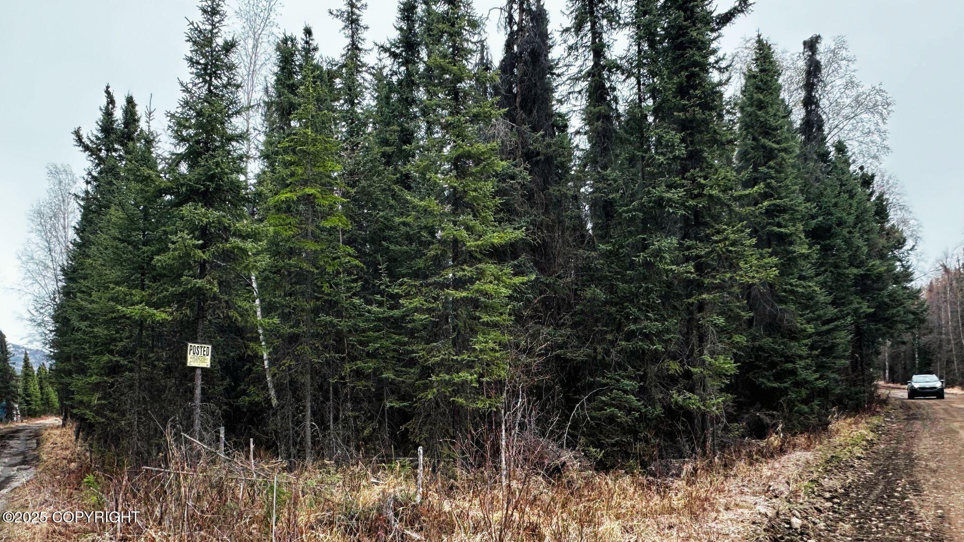 6161 W Captain Kidd Avenue, Wasilla, Alaska image 4