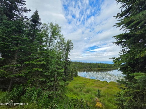 Vacant Land For Sale - 000 No Address<br/> Kasilof, AK 99610