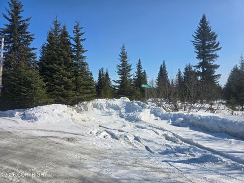 Vacant Land For Sale - L2 Sunshine Drive<br/> Ninilchik, AK 99556