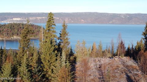 Photo of L20 Pomeroy Road, Homer, AK 99603 (MLS # 25-13846)