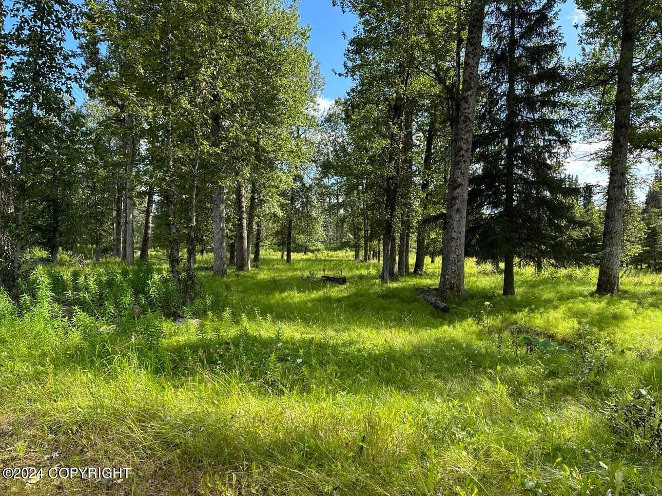 35825 Sterling Highway, Anchor Point, Alaska image 2