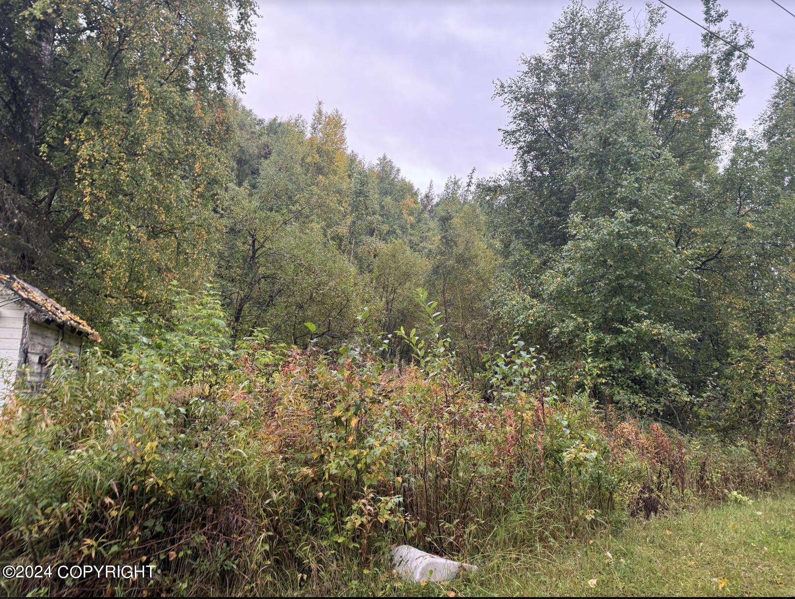 18443 Old Glenn Highway, Chugiak, Alaska image 3