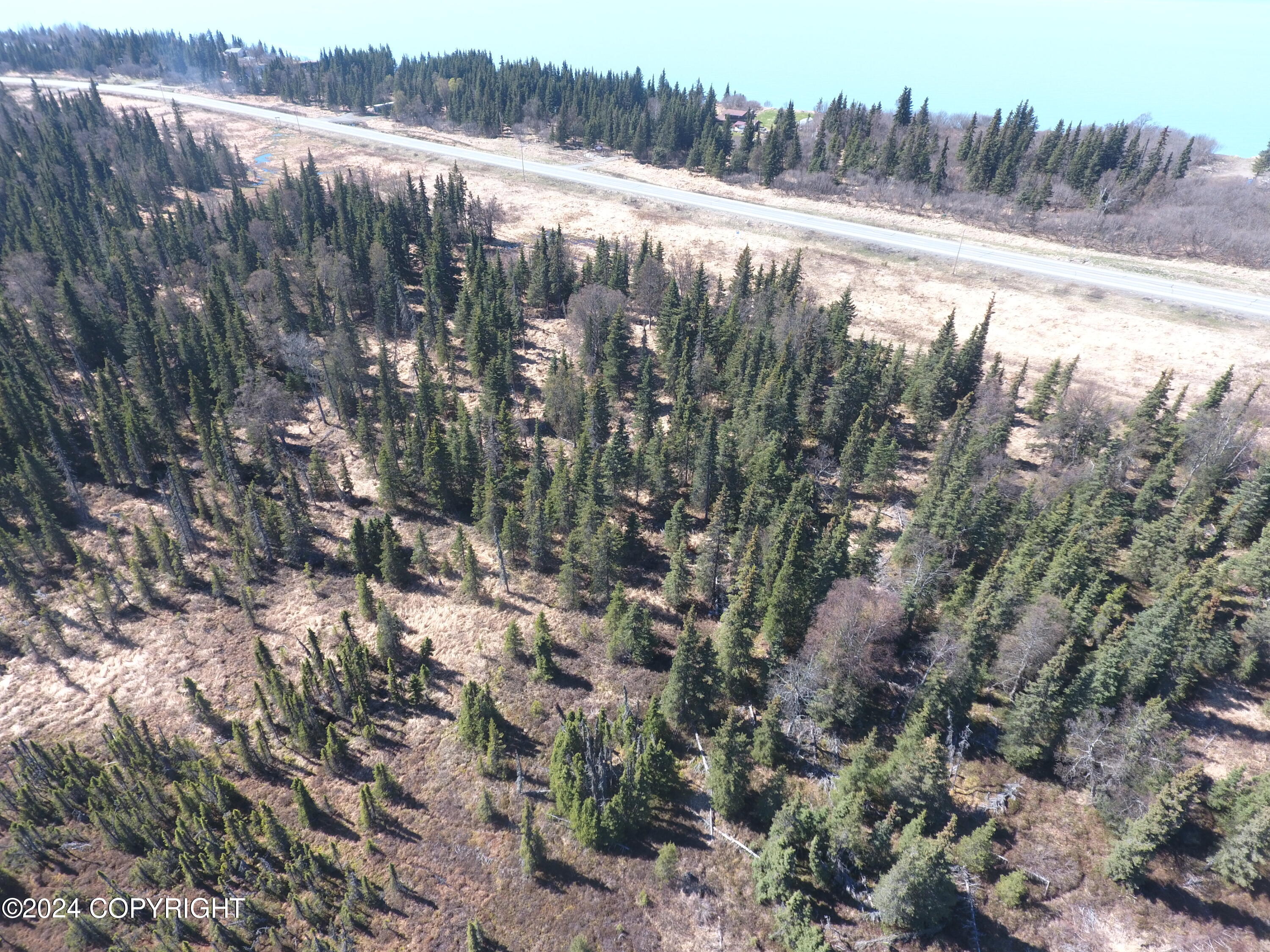 66855 Sterling Highway, Clam Gulch, Alaska image 4