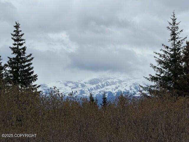 Homer, Alaska 99603, United States, 2 Bedrooms Bedrooms, ,1 BathroomBathrooms,Residential,Active,137502