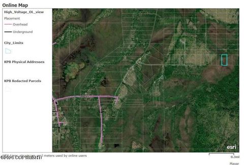 Vacant Land For Sale - 67280 St. John Road<br/> Ninilchik, AK 99556