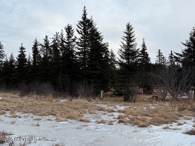 Anchor Point, Alaska 99556, United States, ,Land,Active,83814