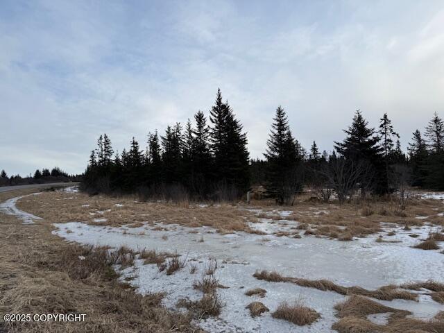 Anchor Point, Alaska 99556, United States, ,Land,Active,83814