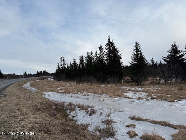 Anchor Point, Alaska 99556, United States, ,Land,Active,83814