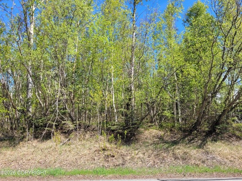 Vacant Land For Sale - 3231 N Calder Road<br/> Wasilla, AK 99654