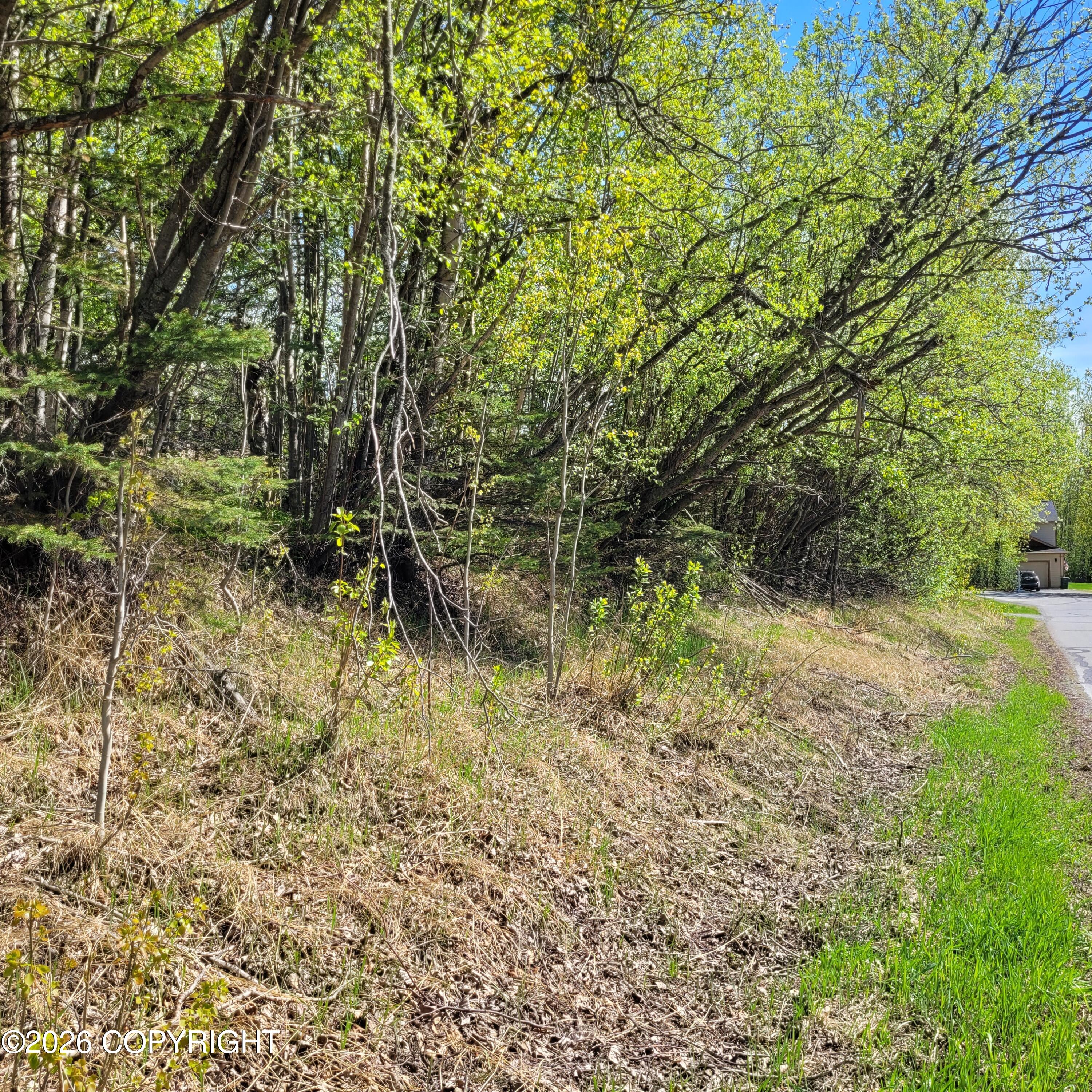 3231 N Calder Road