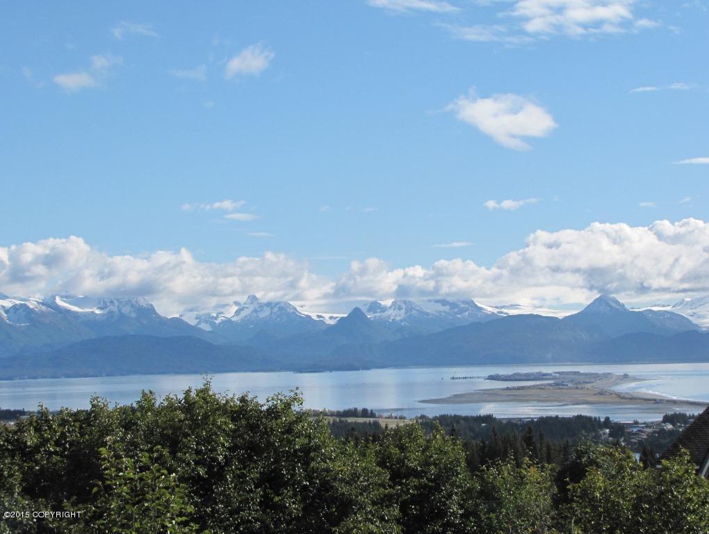 4323 Main Street, Homer, Alaska image 1