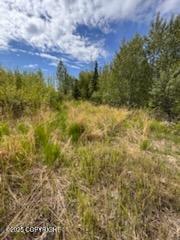 6801 E Upper Mesa Drive, Wasilla, Alaska image 5