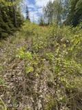 6801 E Upper Mesa Drive, Wasilla, Alaska image 7