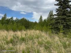 6801 E Upper Mesa Drive, Wasilla, Alaska image 8