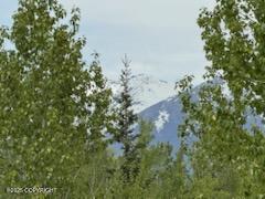 6801 E Upper Mesa Drive, Wasilla, Alaska image 15
