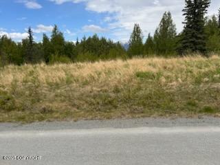 6801 E Upper Mesa Drive, Wasilla, Alaska image 3