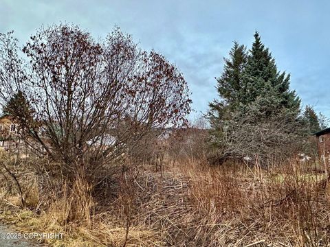 Vacant Land For Sale - 858 Linda Court<br/> Homer, AK 99603