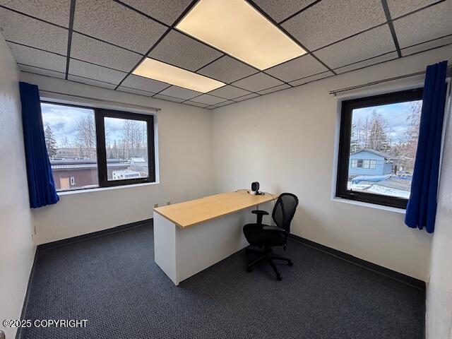 Anchorage, Alaska 99504, United States, ,Residential,Active,125376