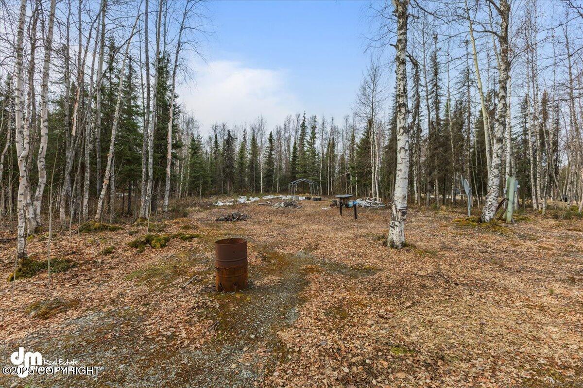 13811 N Willow Drive, Willow, Alaska image 34