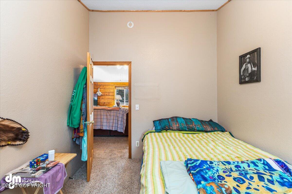 13811 N Willow Drive, Willow, Alaska image 25