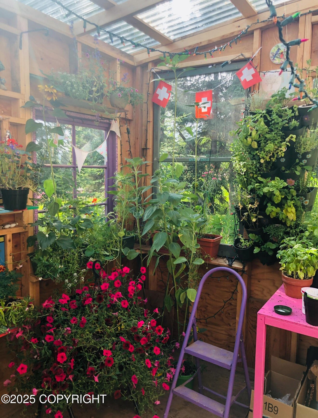 Homer, Alaska 99603, United States, 4 Bedrooms Bedrooms, ,3 BathroomsBathrooms,Residential,Active,41738