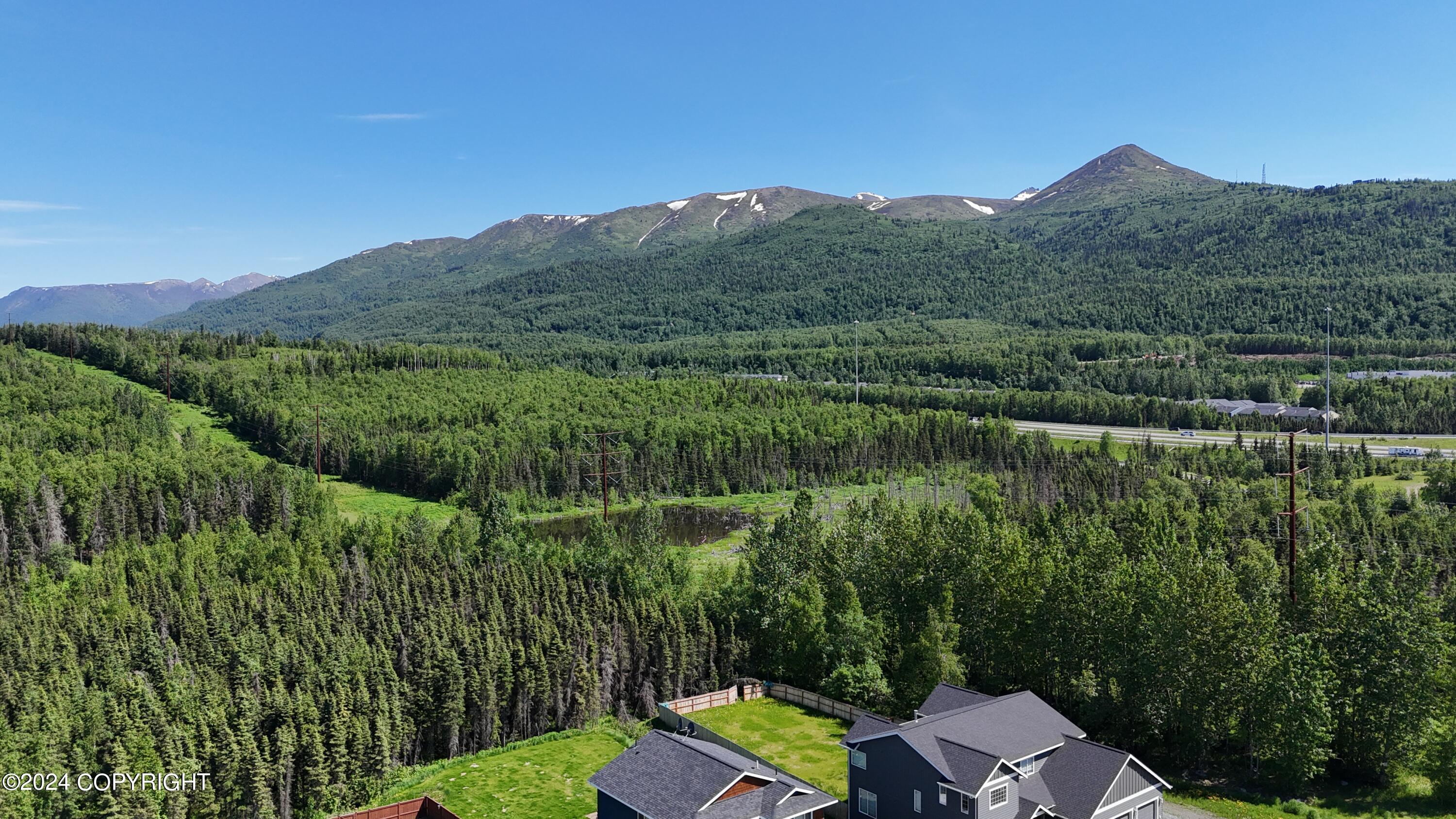13856 Akers Circle, Eagle River, Alaska image 47