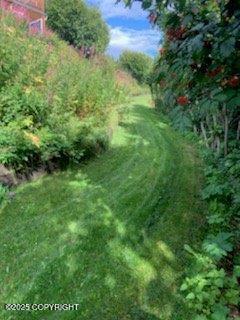 2525 Sterling Highway, Homer, Alaska image 9