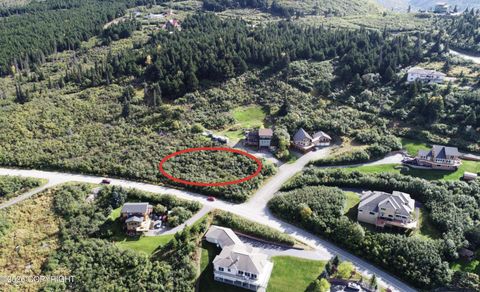 Vacant Land For Sale - NHN Sultana Court<br/> Anchorage, AK 99516