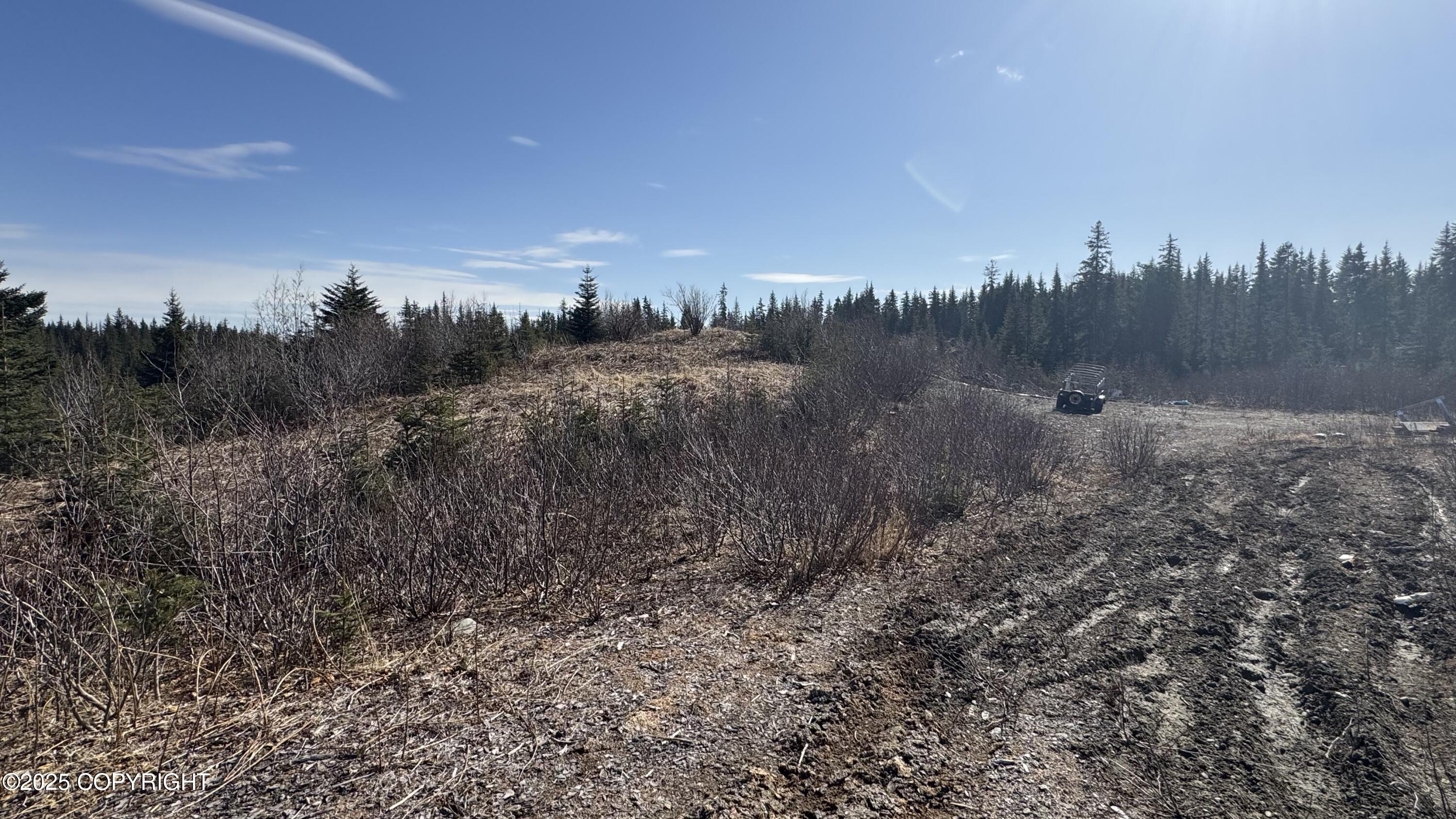 35674 Erin Way, Anchor Point, Alaska image 4