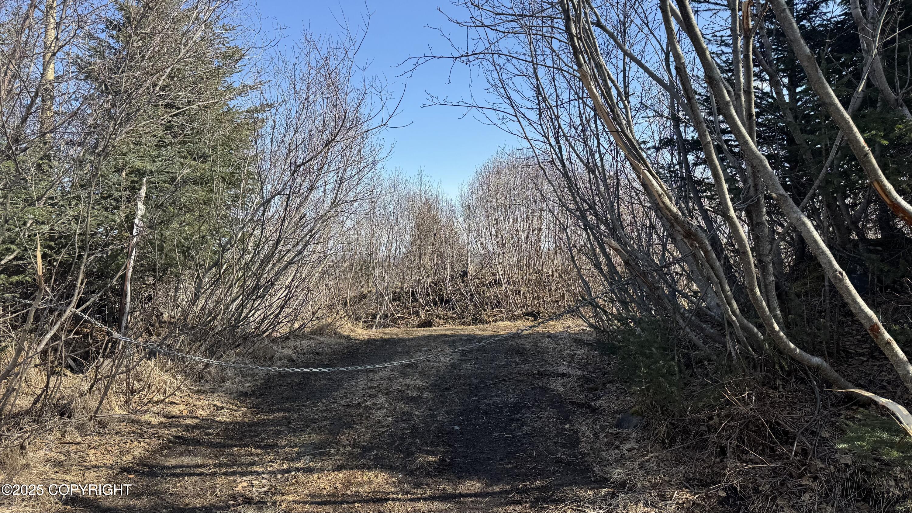35674 Erin Way, Anchor Point, Alaska image 1