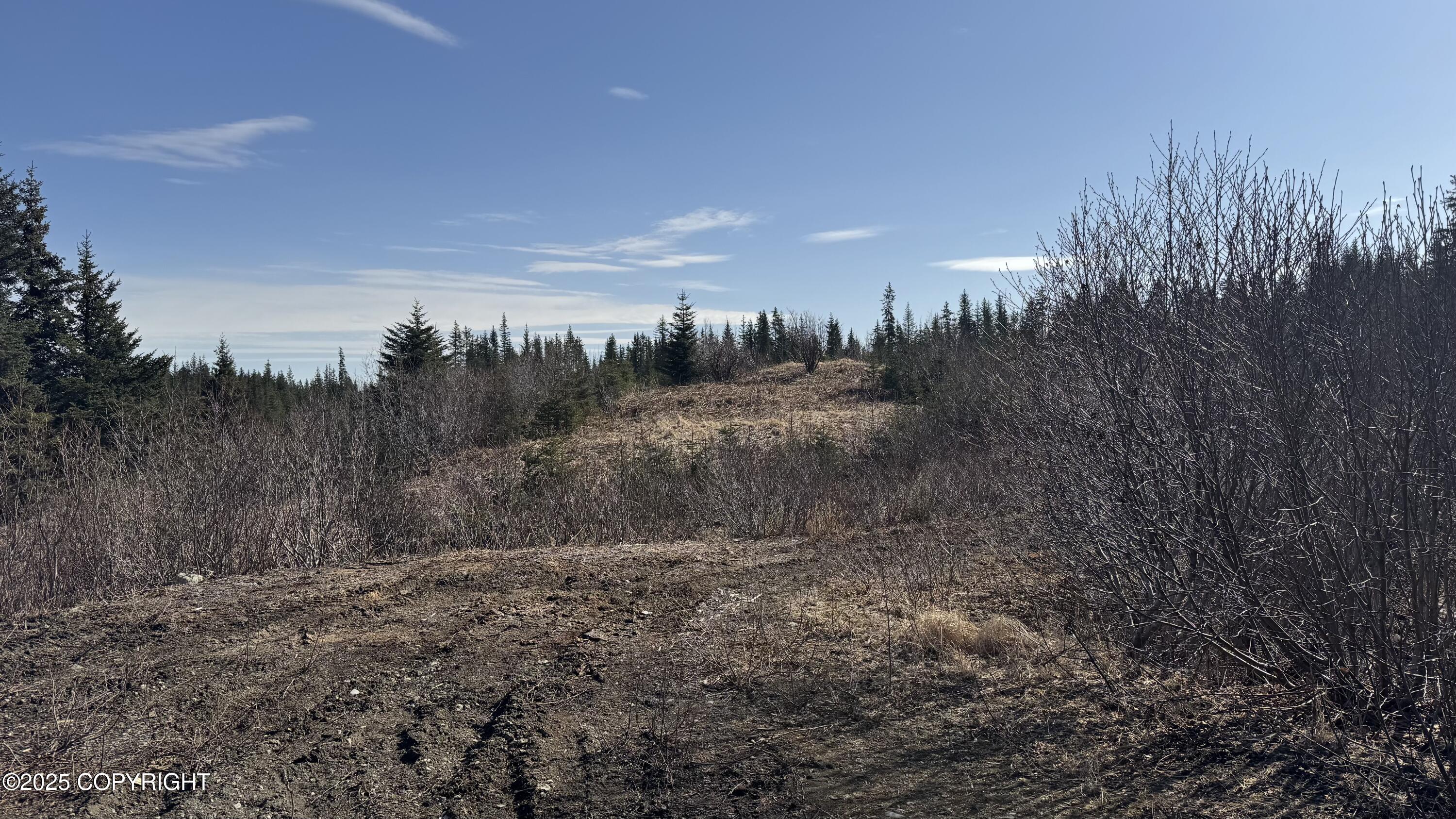35674 Erin Way, Anchor Point, Alaska image 3