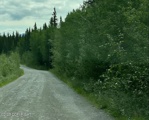 Vacant Land For Sale - LOT 21 Dixon Drive<br/> Copper Center, AK 99573