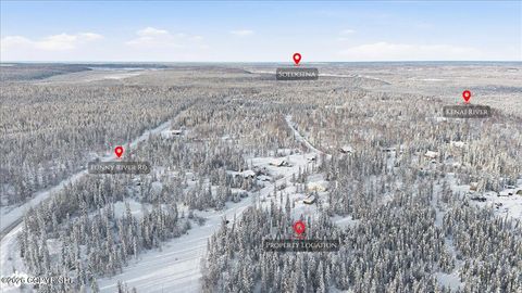 Vacant Land For Sale - 32914 Dans Court<br/> Soldotna, AK 99669