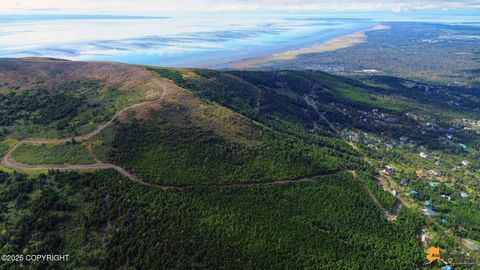 Vacant Land For Sale - 7690 Big Mountain Drive<br/> Anchorage, AK 99516