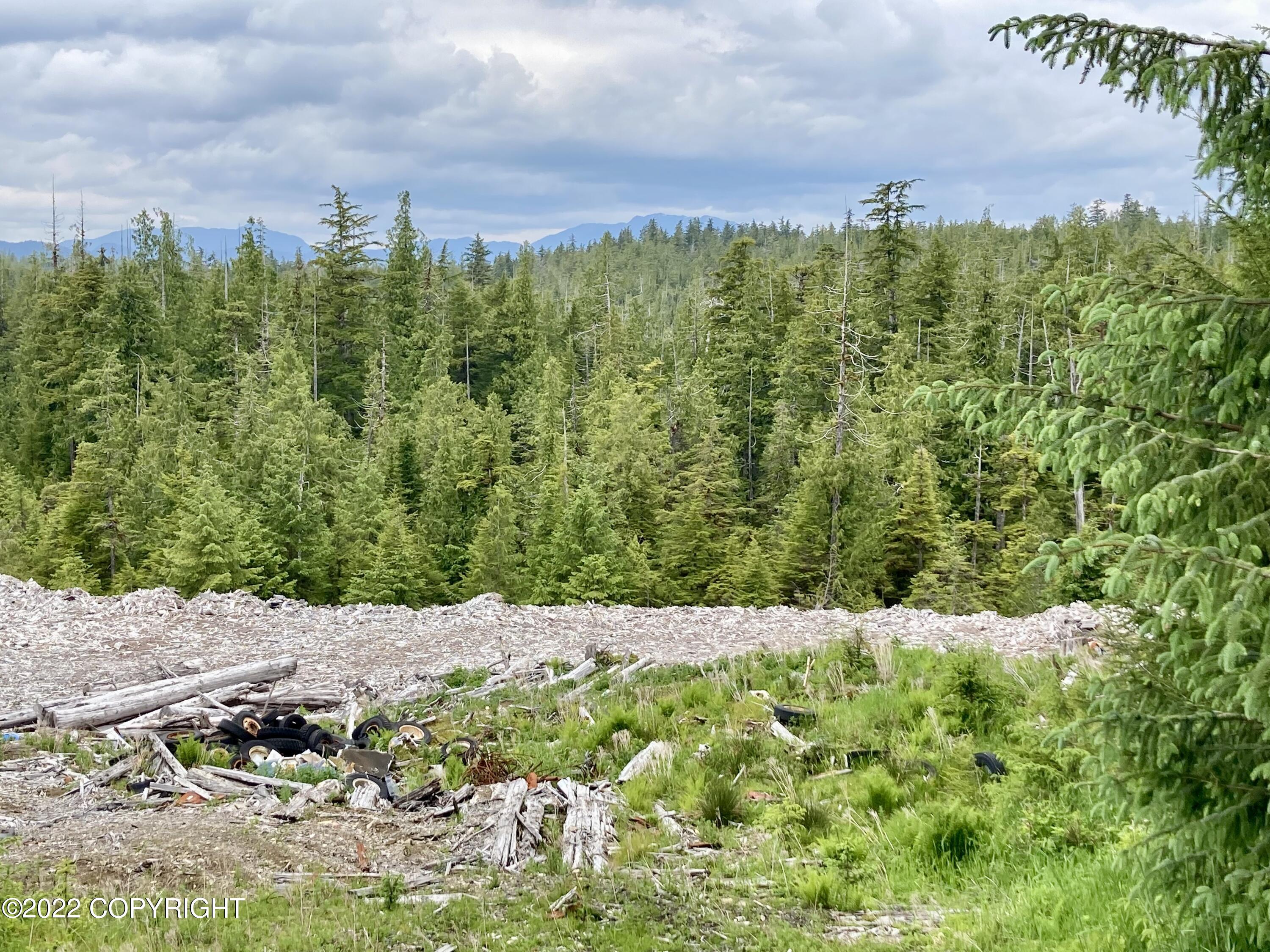 3B Goose Creek Drive, Thorne Bay, Alaska image 12