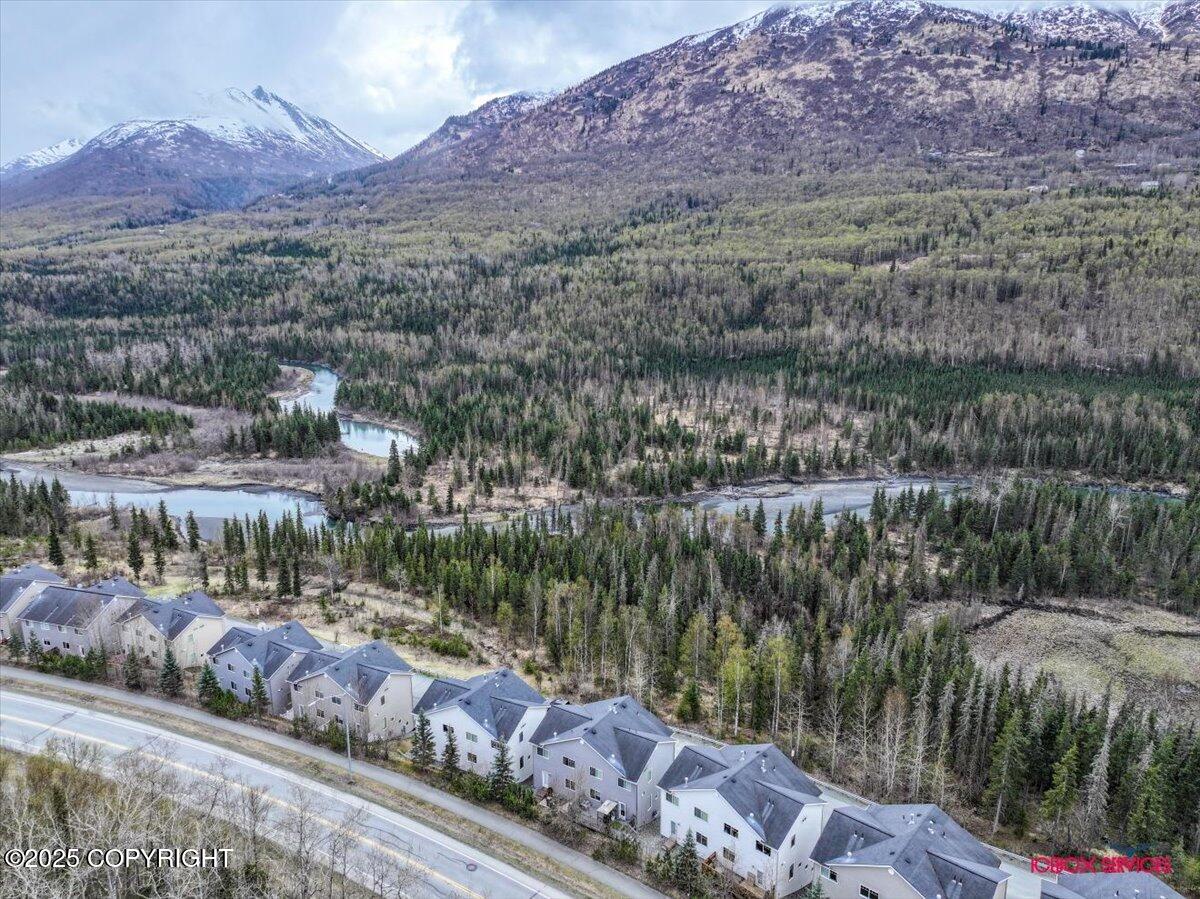 20145 Riverside Drive #4B, Eagle River, Alaska image 39