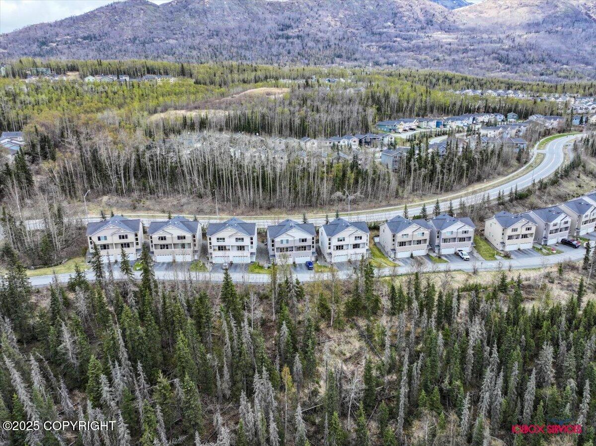 20145 Riverside Drive #4B, Eagle River, Alaska image 34