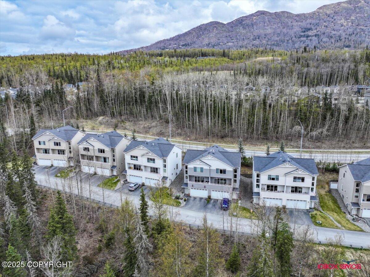20145 Riverside Drive #4B, Eagle River, Alaska image 36