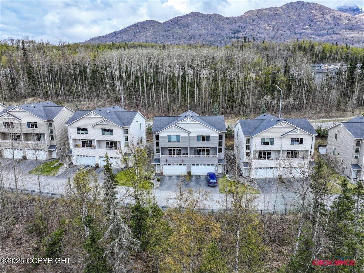 20145 Riverside Drive #4B, Eagle River, Alaska image 38