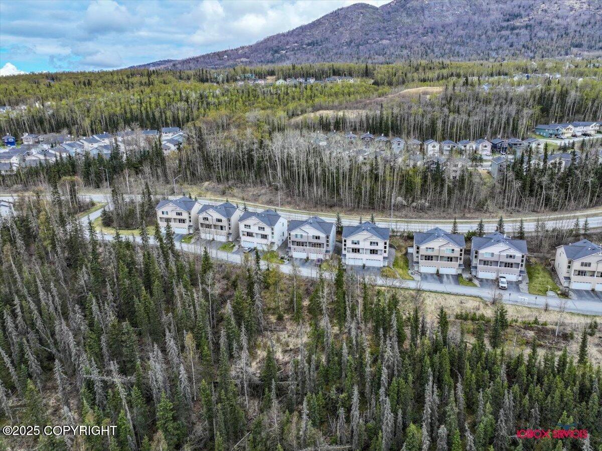 20145 Riverside Drive #4B, Eagle River, Alaska image 37