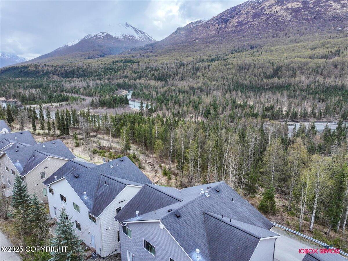 20145 Riverside Drive #4B, Eagle River, Alaska image 40