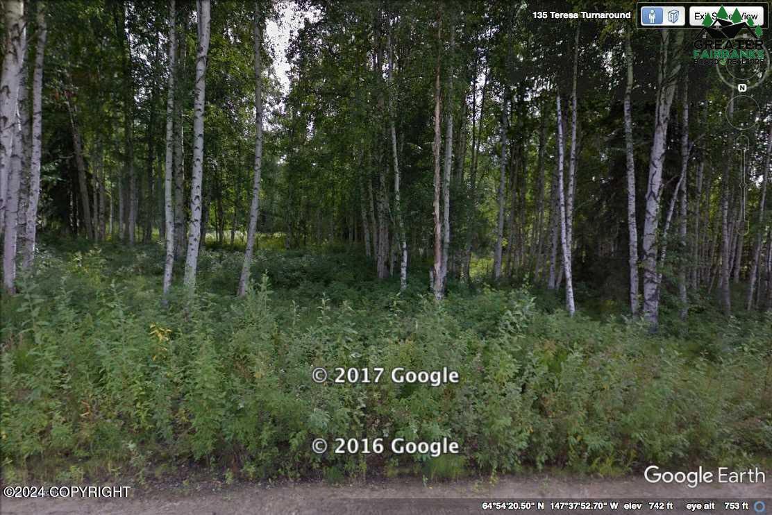 L3 B2 Teresa Turnaround/mcgrath Road, Fairbanks, Alaska image 1